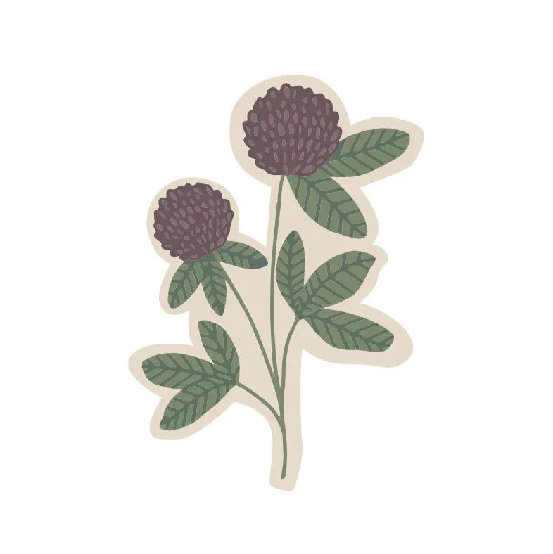 Elvelyckan - Iron-On Patch - Midsummer